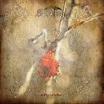 Salvation (ISR) : Roses